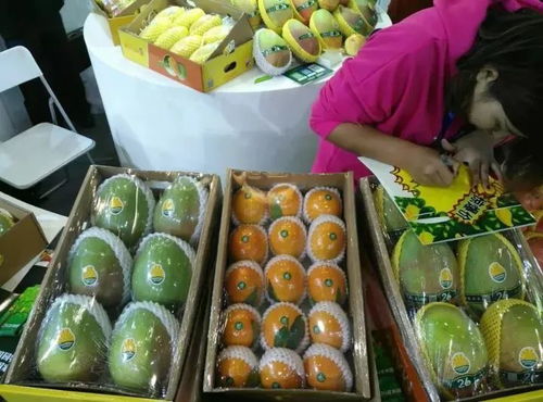 大豐收 攀枝花特色農(nóng)產(chǎn)品驚艷世博會(huì) 銷售額達(dá)500萬元,項(xiàng)目簽約13億元