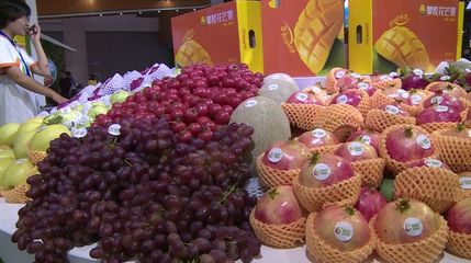 8個項目集中簽約!借農博會東風,攀枝花攬金6.23億元!