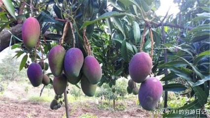 四川未來最&ldquo;吃香&rdquo;的城市,成都、綿陽落榜,這個城市眾望所歸