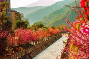 全國(guó)進(jìn)入棉褲時(shí)代 但在攀枝花居然還能穿 短 袖