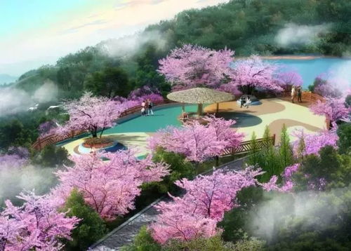 夢(mèng)想著有一面花墻 花廊 來(lái)攀枝花吧,款款都讓你沉醉