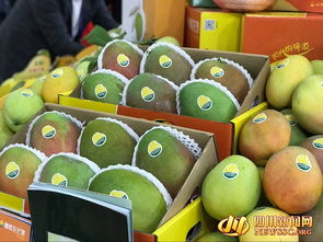 四川農(nóng)產(chǎn)品 c位 出道 攀枝花芒果郫縣豆瓣等抱團(tuán)亮相第十六屆國(guó)際農(nóng)交會(huì)