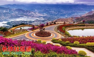 四川發(fā)布今年第一期觀花指數(shù) 德陽(yáng)這個(gè)地方觀花指數(shù)已到達(dá)最佳時(shí)期!